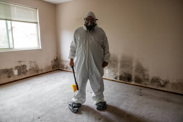 Mold Remediation for Vacation Homes in Geistown, PA